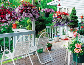 阳台花园布置小花园