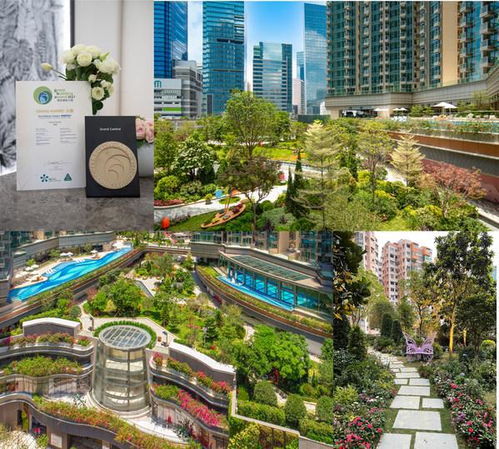 城市绿化：环保与可持续发展的关键